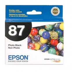 Epson 87 (T087120) Photo Black OEM (Click "more info" to see special note)