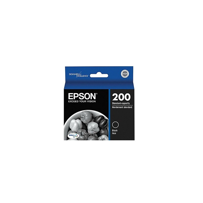 Epson 200 T200120 OEM Black